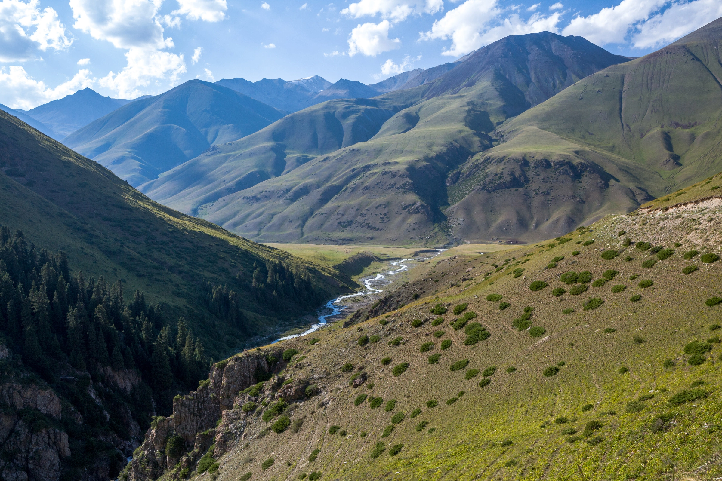 Chong-Kemin_National_Park[1].webp
